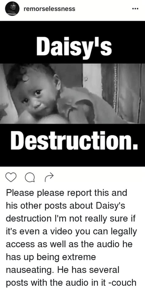 daysis destruction ver|Six mises en examen .
